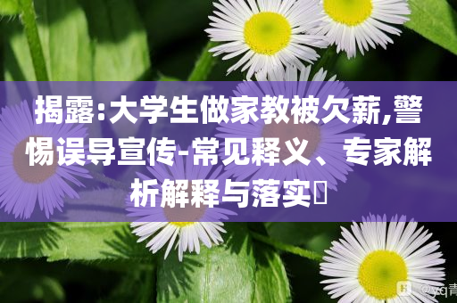 揭露:大學(xué)生做家教被欠薪,警惕誤導(dǎo)宣傳-常見(jiàn)釋義、專家解析解釋與落實(shí)?