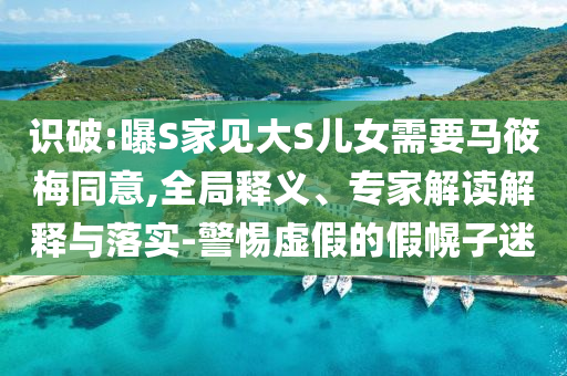 識(shí)破:曝S家見(jiàn)大S兒女需要馬筱梅同意,全局釋義、專家解讀解釋與落實(shí)-警惕虛假的假幌子迷