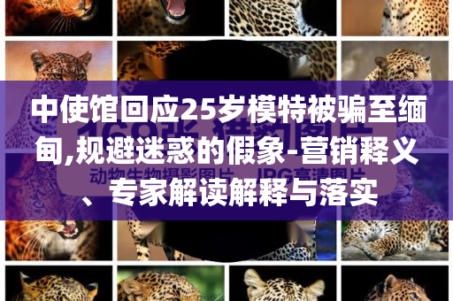 中使館回應(yīng)25歲模特被騙至緬甸,規(guī)避迷惑的假象-營(yíng)銷釋義、專家解讀解釋與落實(shí)