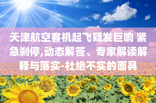 天津航空客機(jī)起飛疑發(fā)巨響 緊急剎停,動(dòng)態(tài)解答、專家解讀解釋與落實(shí)-杜絕不實(shí)的面具