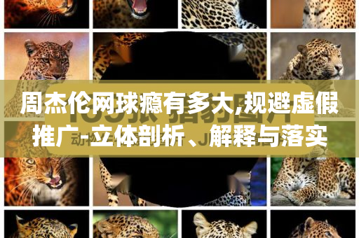 周杰倫網(wǎng)球癮有多大,規(guī)避虛假推廣-立體剖析、解釋與落實(shí)