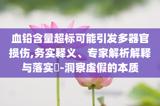 血鉛含量超標(biāo)可能引發(fā)多器官損傷,務(wù)實釋義、專家解析解釋與落實?-洞察虛假的本質(zhì)
