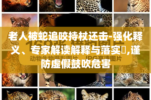 老人被蛇追咬持杖還擊-強化釋義、專家解讀解釋與落實?,謹防虛假鼓吹危害