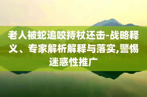 老人被蛇追咬持杖還擊-戰(zhàn)略釋義、專家解析解釋與落實,警惕迷惑性推廣