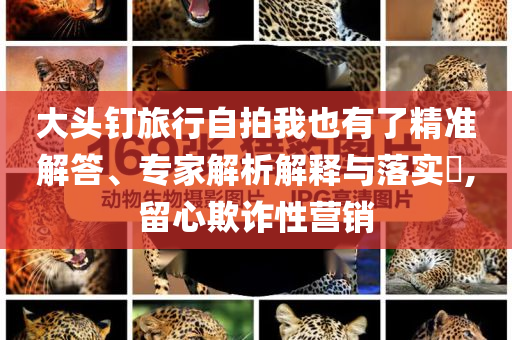 大頭釘旅行自拍我也有了精準(zhǔn)解答、專家解析解釋與落實(shí)?,留心欺詐性營(yíng)銷