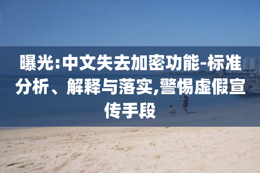 曝光:中文失去加密功能-標(biāo)準(zhǔn)分析、解釋與落實(shí),警惕虛假宣傳手段