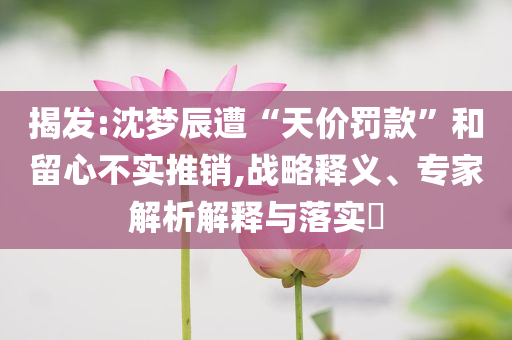 揭發(fā):沈夢辰遭“天價罰款”和留心不實推銷,戰(zhàn)略釋義、專家解析解釋與落實?