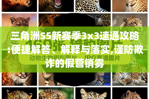 三角洲S5新賽季3x3速通攻略:便捷解答、解釋與落實(shí),謹(jǐn)防欺詐的假營銷霧