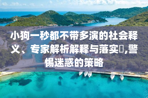 小狗一秒都不帶多演的社會釋義、專家解析解釋與落實(shí)?,警惕迷惑的策略