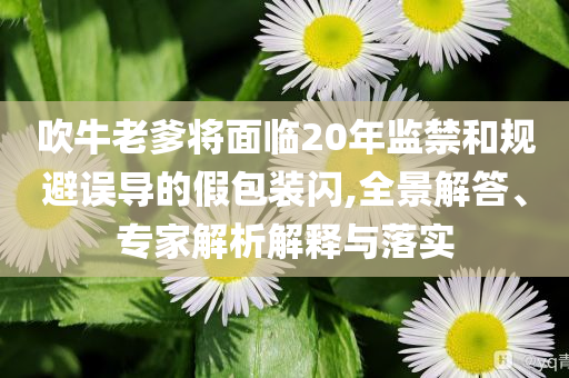 吹牛老爹將面臨20年監(jiān)禁和規(guī)避誤導(dǎo)的假包裝閃,全景解答、專家解析解釋與落實(shí)