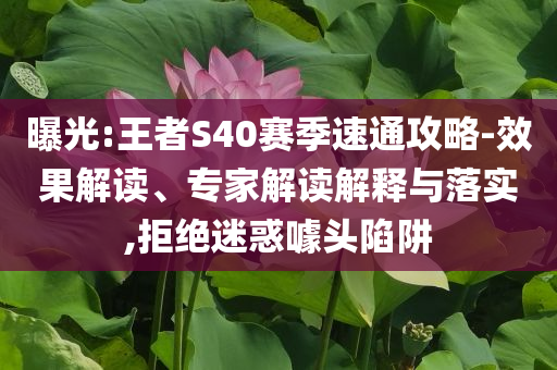曝光:王者S40賽季速通攻略-效果解讀、專家解讀解釋與落實(shí),拒絕迷惑噱頭陷阱