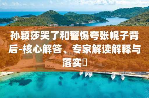 孫穎莎哭了和警惕夸張幌子背后-核心解答、專家解讀解釋與落實(shí)?