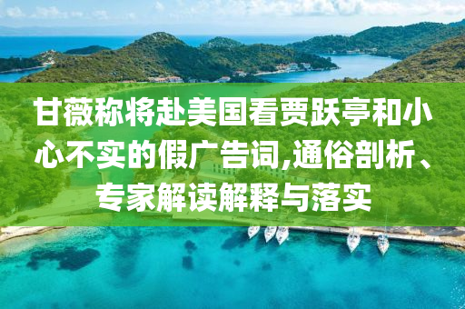 甘薇稱將赴美國看賈躍亭和小心不實的假廣告詞,通俗剖析、專家解讀解釋與落實