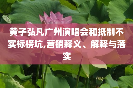 黃子弘凡廣州演唱會和抵制不實標榜坑,營銷釋義、解釋與落實