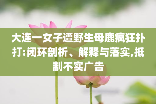 大連一女子遭野生母鹿瘋狂撲打:閉環(huán)剖析、解釋與落實,抵制不實廣告