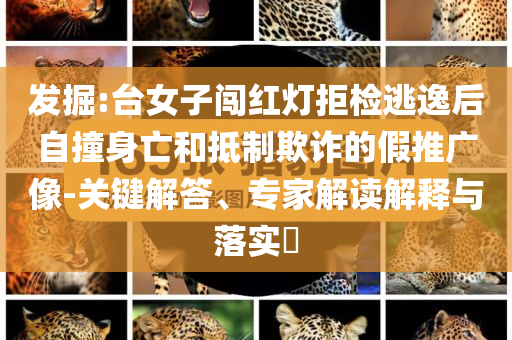 發(fā)掘:臺女子闖紅燈拒檢逃逸后自撞身亡和抵制欺詐的假推廣像-關(guān)鍵解答、專家解讀解釋與落實?