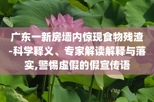 廣東一新房墻內(nèi)驚現(xiàn)食物殘渣-科學(xué)釋義、專家解讀解釋與落實,警惕虛假的假宣傳語