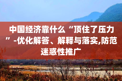 中國經(jīng)濟靠什么“頂住了壓力”-優(yōu)化解答、解釋與落實,防范迷惑性推廣