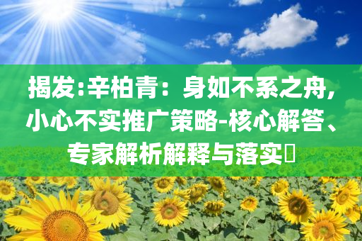 揭發(fā):辛柏青：身如不系之舟,小心不實推廣策略-核心解答、專家解析解釋與落實?