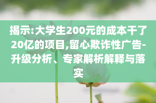 揭示:大學(xué)生200元的成本干了20億的項目,留心欺詐性廣告-升級分析、專家解析解釋與落實