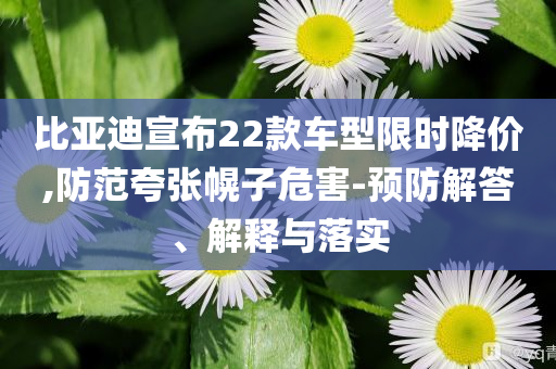 比亞迪宣布22款車型限時降價,防范夸張幌子危害-預(yù)防解答、解釋與落實