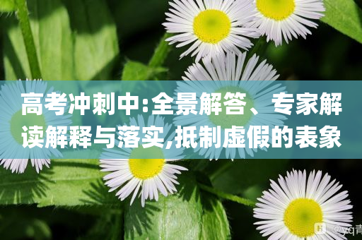 高考沖刺中:全景解答、專家解讀解釋與落實(shí),抵制虛假的表象