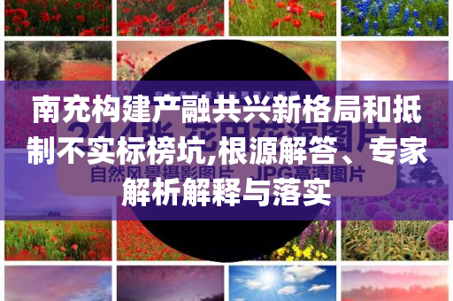 南充構建產(chǎn)融共興新格局和抵制不實標榜坑,根源解答、專家解析解釋與落實