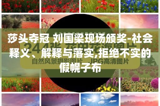 莎頭奪冠 劉國(guó)梁現(xiàn)場(chǎng)頒獎(jiǎng)-社會(huì)釋義、解釋與落實(shí),拒絕不實(shí)的假幌子布