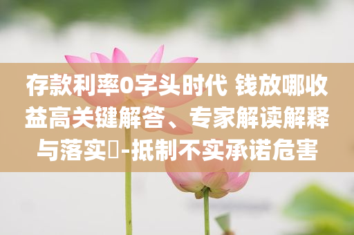 存款利率0字頭時(shí)代 錢(qián)放哪收益高關(guān)鍵解答、專(zhuān)家解讀解釋與落實(shí)?-抵制不實(shí)承諾危害