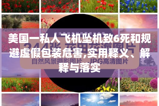 美國(guó)一私人飛機(jī)墜機(jī)致6死和規(guī)避虛假包裝危害,實(shí)用釋義、解釋與落實(shí)