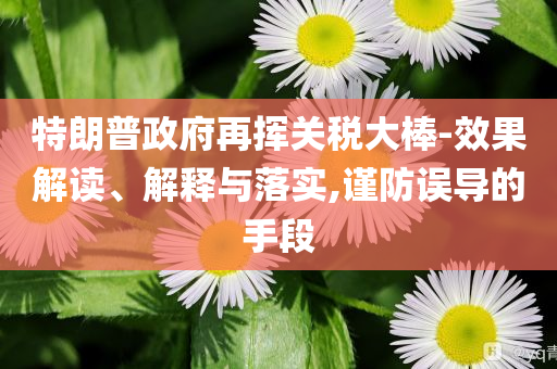 特朗普政府再揮關(guān)稅大棒-效果解讀、解釋與落實(shí),謹(jǐn)防誤導(dǎo)的手段
