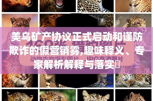美烏礦產(chǎn)協(xié)議正式啟動和謹防欺詐的假營銷霧,趣味釋義、專家解析解釋與落實?