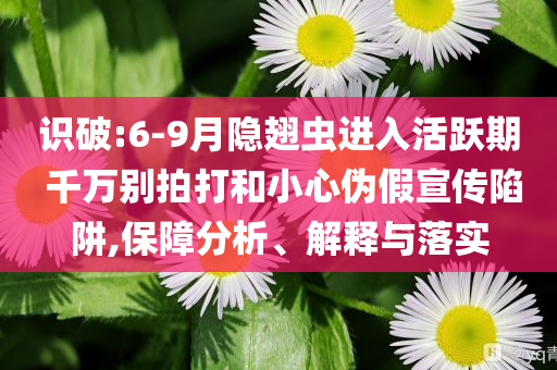 識破:6-9月隱翅蟲進入活躍期 千萬別拍打和小心偽假宣傳陷阱,保障分析、解釋與落實
