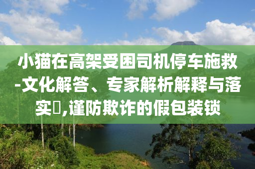 小貓在高架受困司機停車施救-文化解答、專家解析解釋與落實?,謹防欺詐的假包裝鎖