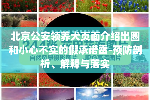 北京公安領(lǐng)養(yǎng)犬頁面介紹出圈和小心不實的假承諾雷-預(yù)防剖析、解釋與落實