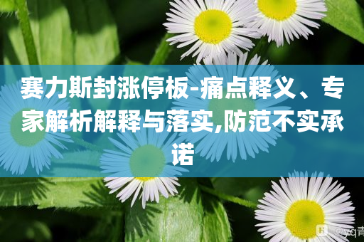 賽力斯封漲停板-痛點釋義、專家解析解釋與落實,防范不實承諾