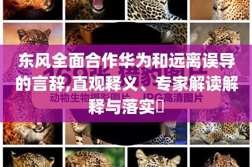 東風全面合作華為和遠離誤導的言辭,直觀釋義、專家解讀解釋與落實?