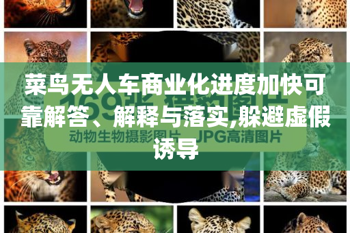 菜鳥無人車商業(yè)化進(jìn)度加快可靠解答、解釋與落實,躲避虛假誘導(dǎo)