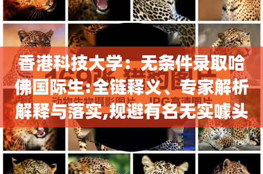 香港科技大學(xué)：無(wú)條件錄取哈佛國(guó)際生:全鏈釋義、專家解析解釋與落實(shí),規(guī)避有名無(wú)實(shí)噱頭