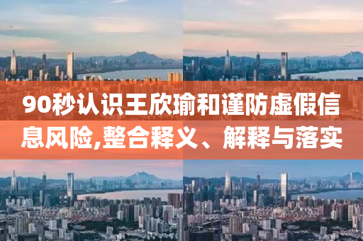 90秒認識王欣瑜和謹防虛假信息風險,整合釋義、解釋與落實
