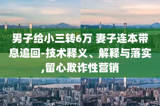 男子給小三轉(zhuǎn)6萬 妻子連本帶息追回-技術(shù)釋義、解釋與落實,留心欺詐性營銷