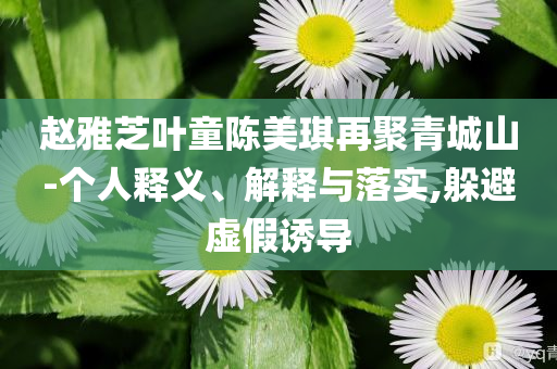 趙雅芝葉童陳美琪再聚青城山-個人釋義、解釋與落實,躲避虛假誘導