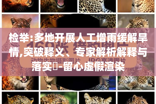 檢舉:多地開展人工增雨緩解旱情,突破釋義、專家解析解釋與落實?-留心虛假渲染