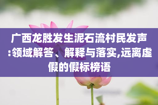 廣西龍勝發(fā)生泥石流村民發(fā)聲:領(lǐng)域解答、解釋與落實,遠離虛假的假標(biāo)榜語