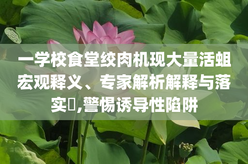 一學(xué)校食堂絞肉機(jī)現(xiàn)大量活蛆宏觀釋義、專家解析解釋與落實(shí)?,警惕誘導(dǎo)性陷阱