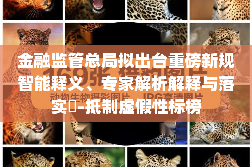 金融監(jiān)管總局擬出臺重磅新規(guī)智能釋義、專家解析解釋與落實?-抵制虛假性標榜
