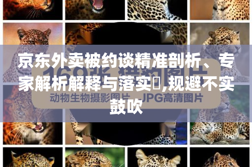 京東外賣被約談精準(zhǔn)剖析、專家解析解釋與落實(shí)?,規(guī)避不實(shí)鼓吹