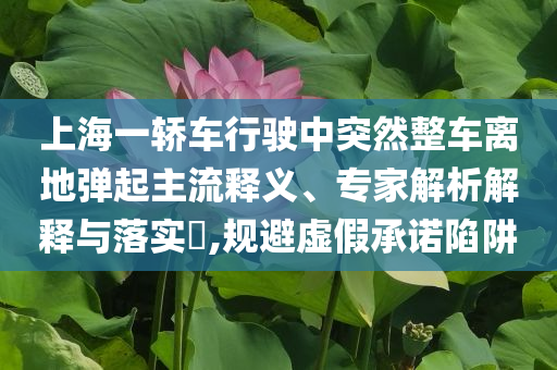上海一轎車行駛中突然整車離地彈起主流釋義、專家解析解釋與落實(shí)?,規(guī)避虛假承諾陷阱