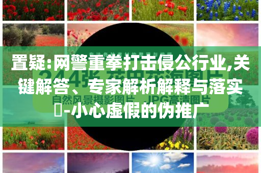 置疑:網警重拳打擊侵公行業(yè),關鍵解答、專家解析解釋與落實?-小心虛假的偽推廣