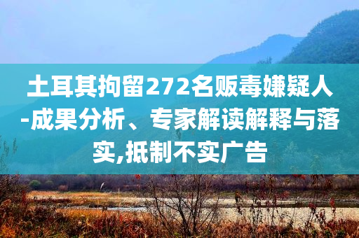 土耳其拘留272名販毒嫌疑人-成果分析、專家解讀解釋與落實,抵制不實廣告